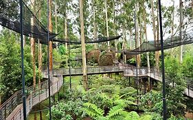 Dusun Bambu Villa